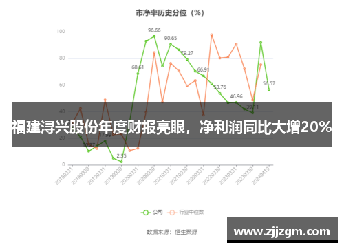 福建浔兴股份年度财报亮眼，净利润同比大增20%